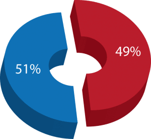 Piechart-300x276