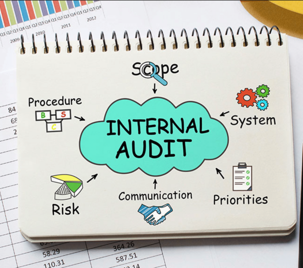 What Is A Certified Internal Auditor (CIA) and What Do ...